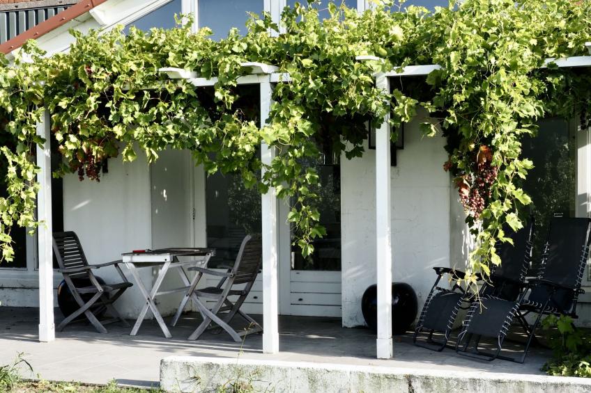 De Orangerie Zaamslag